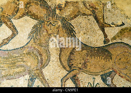 Tunisia, archeological site of Carthage listed as World Heritage by UNESCO, archaeological site of ancient Roman mosaic floor Stock Photo