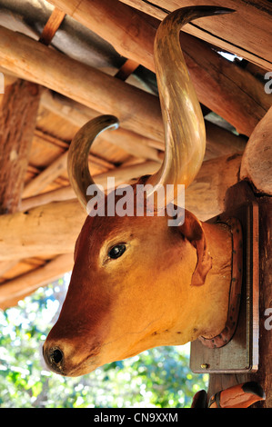 Brazil, Mato Grosso do Sul State, Bonito, Buraco das Araras, entrance of the site Stock Photo