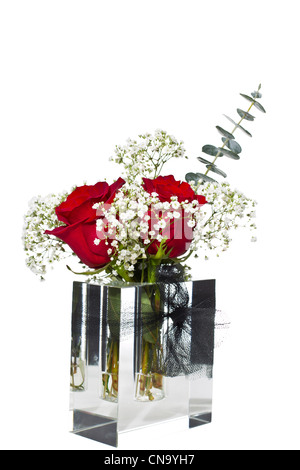 Red roses in glass box shaped vase on pure white background Stock Photo