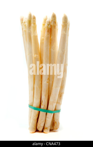 White asparagus on a white background Stock Photo