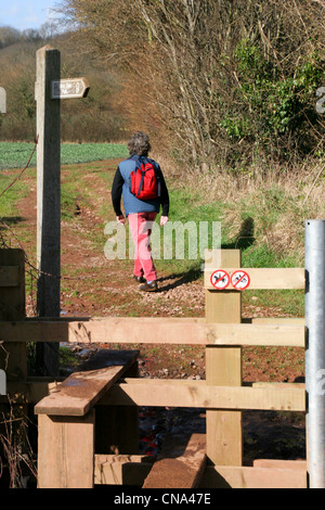 Offa's Dyke Path and walker Monmouth Monmouthshire Wales. Stock Photo