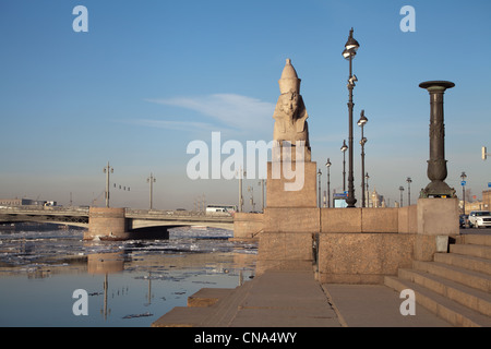 Quay with Sphinxes at the Universitetskaya Embankment, St. Petersburg, Russia. Stock Photo