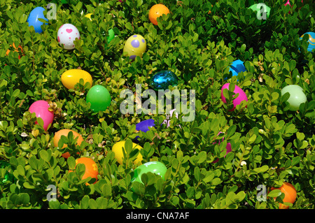 Easter eggs Stock Photo