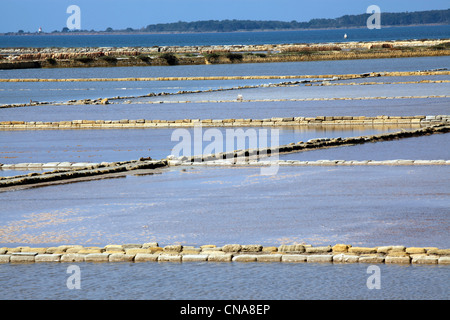 Windmills in the Marsala Salt Pans, Sicily, Italy Stock Photo