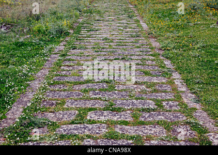 A stone path or pathway in the ruins of the Temple of Hera (Temple E) at Selinunte, Sicily, Italy Stock Photo