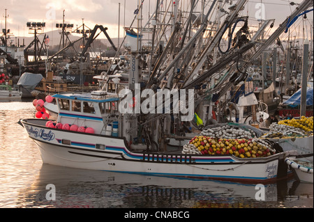 Sac roe herring fishing fleet docked in Thomsen Harbor in Sitka, Alaska, USA. Stock Photo