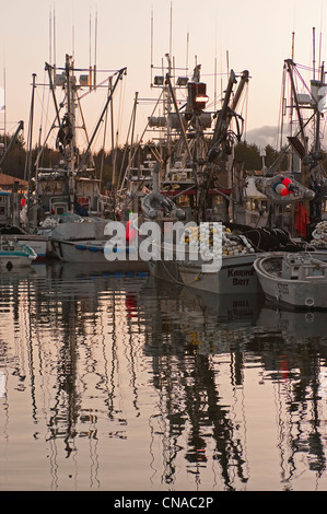 Sac roe herring fishing fleet docked in Thomsen Harbor in Sitka, Alaska, USA. Stock Photo