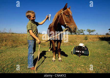 Australia, Western Australia, Kimberley Region, Mornington Wildlife Sanctuary, David Cook preparing his horse Stock Photo