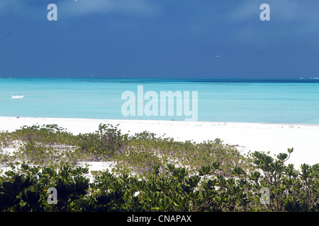 United States, Hawaii, Midway Atoll, Sand island Stock Photo