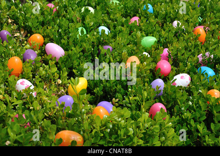 Easter eggs Stock Photo