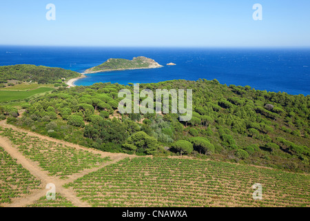 France, Var, Ramatuelle, Saint Tropez peninsula, Cap Taillat (aerial view) Stock Photo