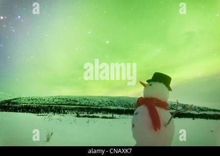 Digitally Altered, Snowman watching Northern Lights, Winter, Eureka Summit, Glenn Highway, Southcentral Alaska Stock Photo