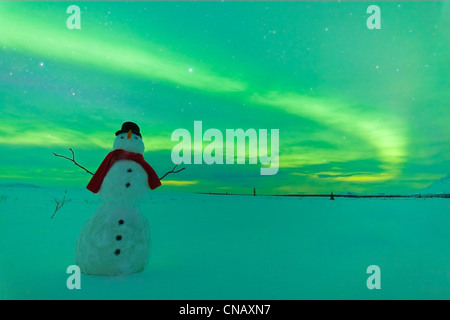 Digitally Altered,Snowman watching Northern Lights, Winter, Eureka Summit, Glenn Highway, Southcentral Alaska, Stock Photo