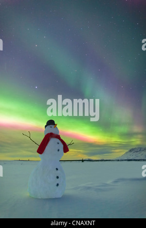 Digitally Altered, Snowman watching Northern Lights, Winter, Eureka Summit, Glenn Highway, Southcentral Alaska, Stock Photo