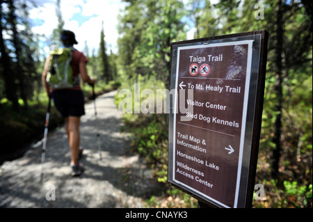 Woman hiking on the Mt. Healy Overlook Trail in Denali National Park & Preserve, Interior Alaska, Summer Stock Photo