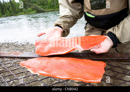 Fly fisherman with a filleted Sockeye salmon along the banks of the Mulchatna River in Bristol Bay, Southwest Alaska, Summer Stock Photo