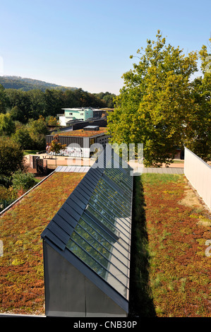 Solar City Freiburg Germany Stock Photo Alamy