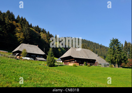 Germany, Black Forest, Schwarzwald, Baden-Wuerttemberg, country cottage near The Belchen (1414 m) Stock Photo