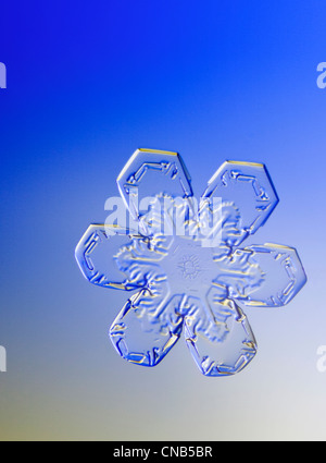 Photo-microscope view of a double plated snowflake with a star and hexagon shape Stock Photo