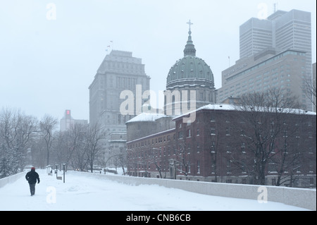 Canada, Quebec Province, Montreal, Marie Reine du Monde Cathedral (Mary, Queen of the World Cathedral) and the downtown in Stock Photo