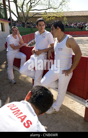 France, Gard, Aigues Vives, Course camarguaise in the bullring, raseteurs taking a rest between two bulls Stock Photo