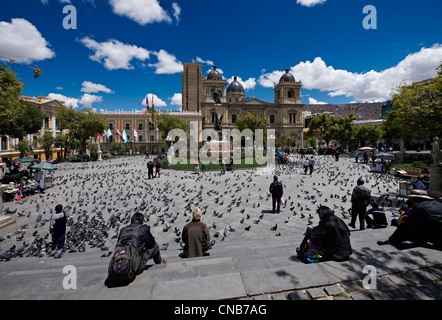 pigeons on Plaza Murillo, behind the cathedral and presidential palace, Congreso de la República, Plaza Murillo, La Paz Stock Photo