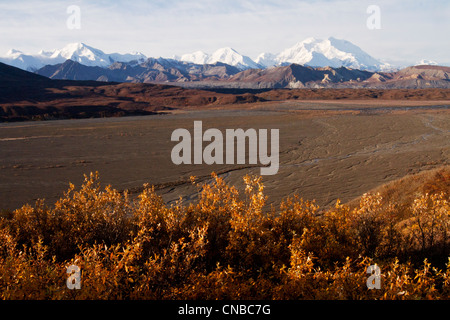 Scenic of Autumn colored foliage with Mt. McKinley and the Alaska Range in the background, Denali National Park and Preserve Stock Photo