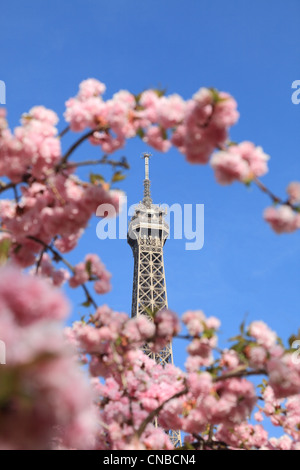 Detail of the top of The Eiffel Tour seen through branches of blossoming tree in spring. Stock Photo