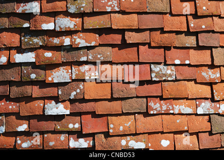 Close up detail of wall made from clay tiles, with lichen. Stock Photo
