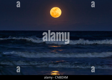 Full Moon rising over Atlantic ocean from beach on Hilton Head Island South Carolina by Jim Crotty Stock Photo
