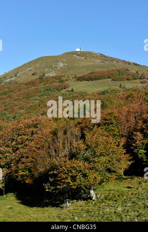 France, Haut Rhin, the Route des Cretes near the Col du Grand Ballon, top of the Grand Ballon Stock Photo