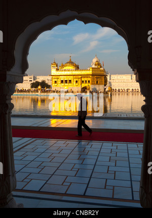 India, Punjab, Amritsar, golden Temple in golden evening light Stock Photo