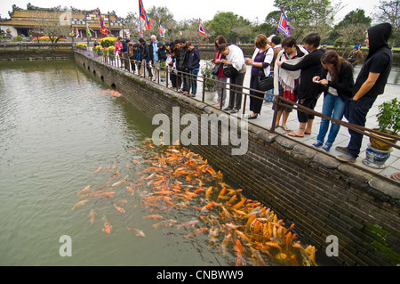 Horizontal view of tourists feeding hungry carp from Trung Dao (Central Path) Bridge inside the Royal or Imperial Palace in Hue, Vietnam Stock Photo