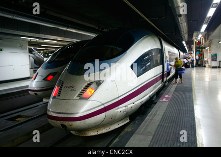 Spain, Catalunya, Barcelona, high speed train (AVE) at the Sants station Stock Photo