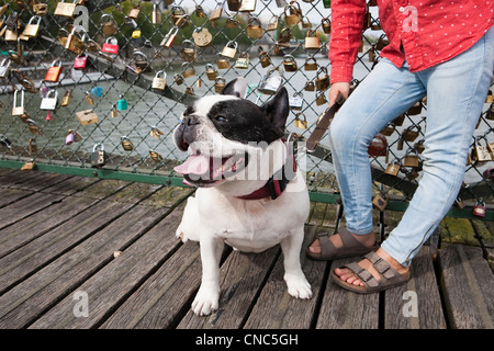 France, Paris, Pont des Arts (Arts'bridge, dog and people with padlocks left by lovers on the railing in the background Stock Photo