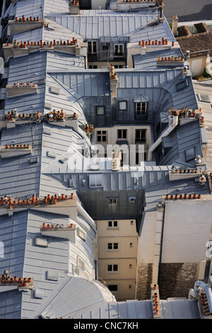 France, Paris, Ile de la Cite, tin roofing of Haussmann buildings Stock Photo