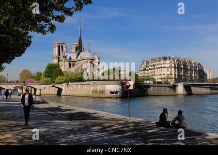 France, Paris, the Seine river banks listed as World Heritage by UNESCO and Notre Dame Cathedral on Ile de la Cite and the Pont Stock Photo