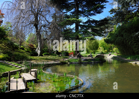 France, Hauts de Seine, Boulogne Billancourt, Japanese garden in Albert Kahn departmental museum Stock Photo