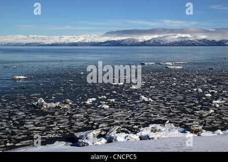 Ice chunks floating in the Kachemak Bay in Alaska on a sunny day with a bright blue sky. Stock Photo