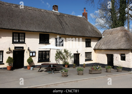 Masons Arms image 3 - Full view