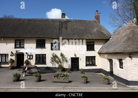 Masons Arms — photograph 5