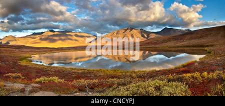 Scenic view of the Brooks range reflecting in a small pond in the John River valley, Gates of the Arctic National Park , Alaska Stock Photo