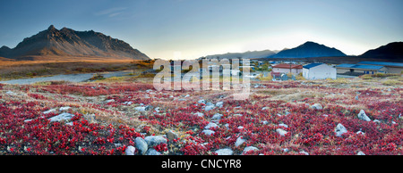 Scenic view of red Bear Berry foliage and mountains, Anaktuvuk Pass in Gates of the Arctic National Park , Alaska Stock Photo