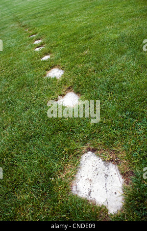 A stone foot path through some green grass. Stock Photo