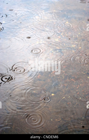 Raindrops falling from the sky create ripples in the water. Stock Photo