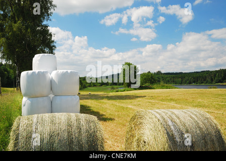 Harvested field with straw bales packaged Stock Photo