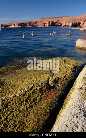 Sea kayaking along Isla Espiritu Santo, Sea of Cortez, Baja California, Mexico. Stock Photo