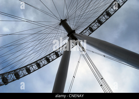 London eye number 3144 Stock Photo