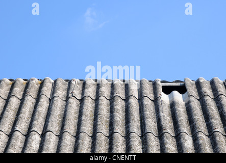 close up on corrugated asbestos roof on byre building in Poland Stock Photo