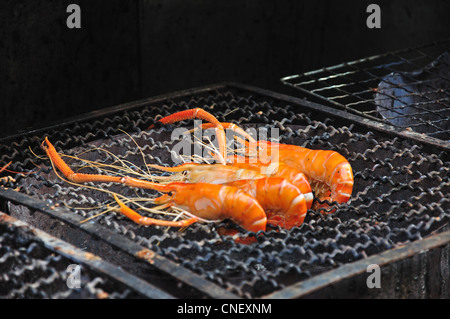 Langoustine cooking on grill in street seafood stall, Yaowarat Road (Chinatown), Samphanthawong District, Bangkok, Thailand Stock Photo